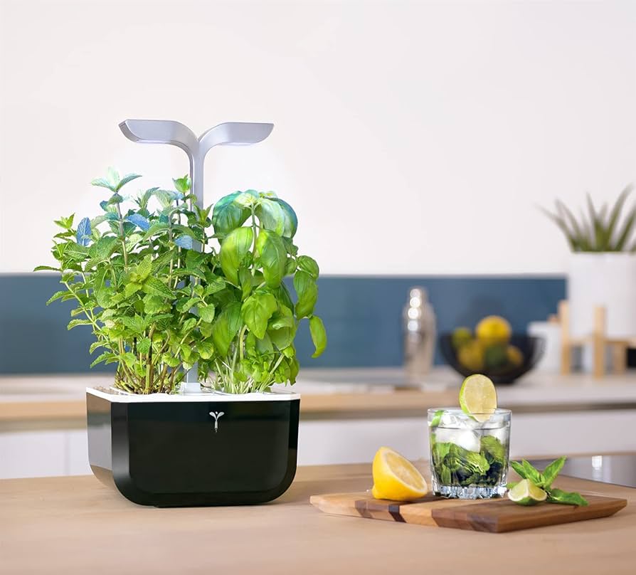 Amazon.com : Veritable EXKY Smart Soft Black - Hydroponics